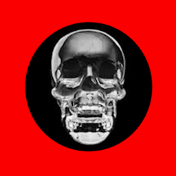 Crystal Skull logo